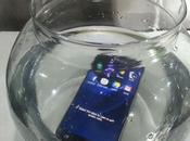 Protect Your Phone from Water Holi