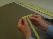 Sunday Devotional: Palm