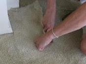 Professional Carpet Repairing Services?
