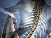 What Does Carb Your Bones?