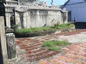 DAILY PHOTO: Joss Sticks Drying