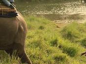 Chitwan National Park