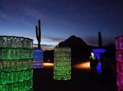Bruce Munro’s SONORAN LIGHT Exhibit Desert Botanical Garden, Phoenix,