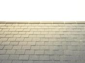 Reasons Choose Slate Roofing