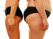 Everything Need Know About Weight Loss