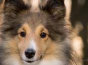 Beautiful Darlings! Sweet Reminisce