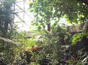 Geodesic Domes, Pastries, Art, Welcome Vancouver