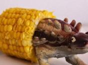 Ways Recycle Reuse Dinosaurs