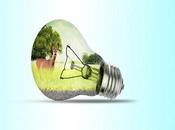 Seven Inexpensive Ways Make Your Home Greener