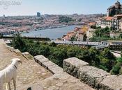 Porto From Muralha Fernandina (Old City Wall)