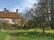 Spring Plant Fair Great Dixter