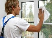 Wood Vinyl Windows: Comparison