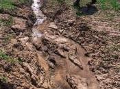 Better Land Keys Slowing Global Warming