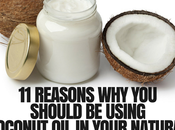 Using Coconut Your Natural Hair Care Routine No-Brainer