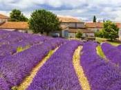 Join Fiction Writing Workshop Provence