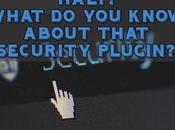 HALT! What Know About That Security Plugin?