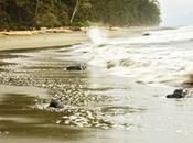 China Beach, British Columbia