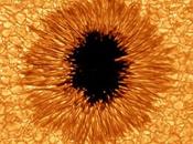 Scott Electric Galactically Connected Plasmatic Circuitry