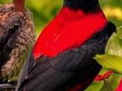 Majesty Mother’s Love.