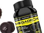 Maltodextrin Complement, Muscle Bodybuilding Supplements