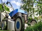 Tips Landscaping Project