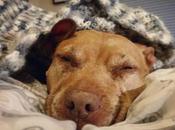 Nine Years: Good, Ugly