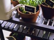 Mobile Herb Garden With Miracle-Gro® Potting