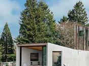 This Home Complete with Indoor Jungle