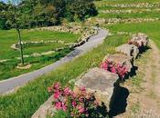 Porto’s Parque Oriental