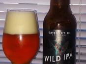 Wild Category Brewing