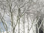 Seasons