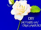 Mother's Crepe Paper Rose Instructions Bonbonnierre