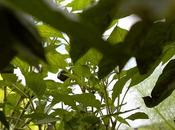 Friday Fotos: Vegetative Underground