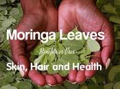 Moringa Leaves Benefits Uses Skin, Hair Health