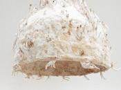 Grow Your Designs Like Jonas Edvard