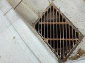 Should Count Blocked Stormwater Drain Experts Cleaning Your Drains?