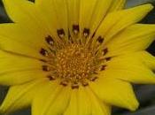 11th Is... (Includes Printable Freebies)