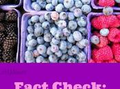 Fact Check: Berries Diabetes