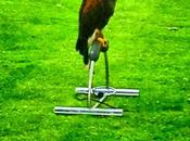 Meet Shaughan's Friend Issy #LondonPhotoblog