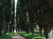 Hortus Romam Hadrian's Villa