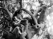 Elephant Tree Premiere Song 'Wither' with Metal Injection Album 22nd April Magnetic Records