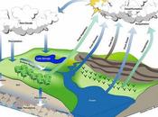 What Hydrologic Cycle Steps