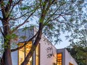Thin, Mint: Eco-Friendly House Rises Compact Quarters