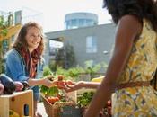 Chicago Field Museum Summer Guide