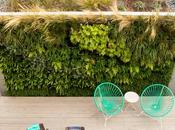 Wild Garden Leaps Walls This Backyard Build