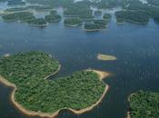 Hydropower Dams Worldwide Cause Continued Species Extinction