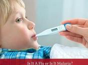 Symptoms Malaria Kids Might Notice