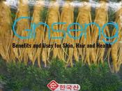 Ginseng Benefits Uses Skin, Hair Health