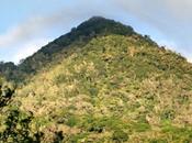 Boquete: Mountain Coffee Cloud Forest Paradise