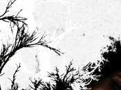 Upcoming Release Girl Woods